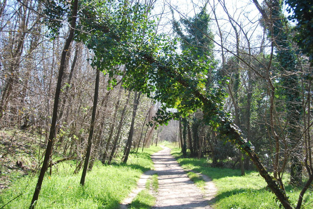 B&B Percorso Verde Ponte Valleceppi Zewnętrze zdjęcie